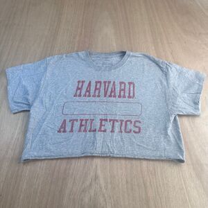 Harvard Athletics Gray Crop Top T-Shirt Size L Cut Off Raw Hem College Tee